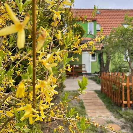 Domek Zielony 3* Mielno