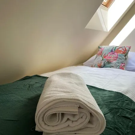 Domek Zielony Guest house
