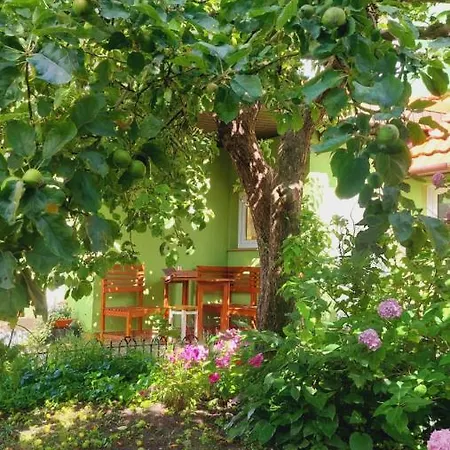 Guest house Domek Zielony *
